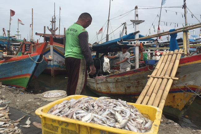 Masyarakat Kalsel Doyan Makan Ikan, Tingkat Konsumsi diatas rata - rata Nasional 