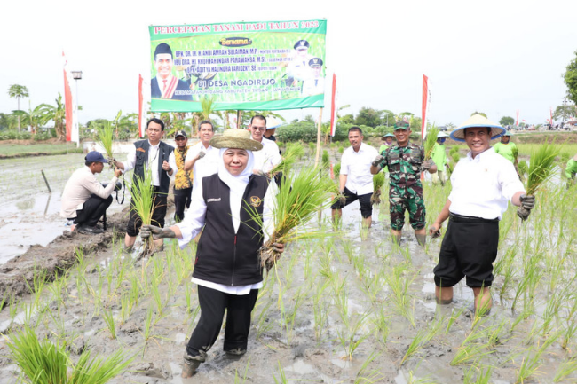 Panen dan Tanam Padi di Tuban Bareng Mentan, Gubernur Khofifah Ajak Wujudkan Kedaulatan Pangan