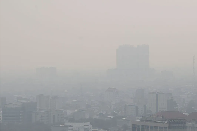 Dampak Polusi Udara, Ketua DPRD DKI Jakarta Usulkan Insentif bagi Pekerja Lapangan