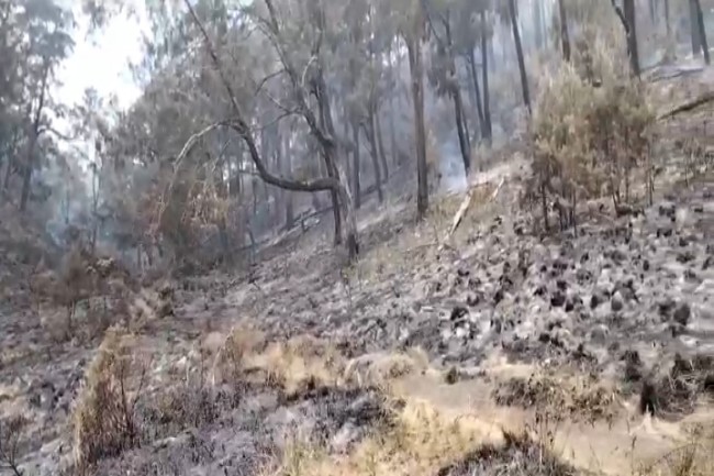 Kebakaran Lawu Lelehkan Jaringan Pipa, Suplai Air ke Ratusan Jiwa di Desa Anggrasmanis Terputus
