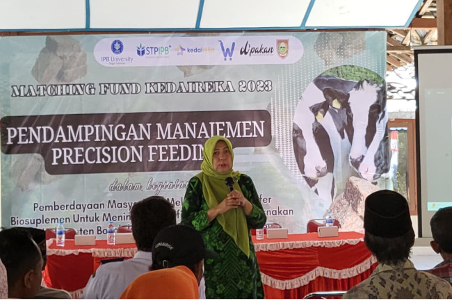 Ilmuwan IPB Buktikan Manfaat Pakan Tepat dengan Peningkatan Mutu dan Produktivitas Susu Sapi 