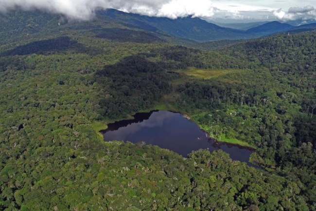 Pengendalian Deforestasi dan Karhutla di Indonesia