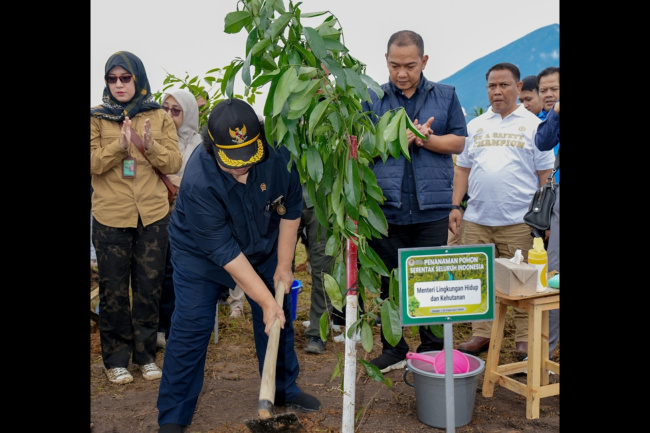 Tanam Pohon Serentak, Menteri LHK Bersama Masyarakat Jawa Barat Tanam 1.000 Pohon