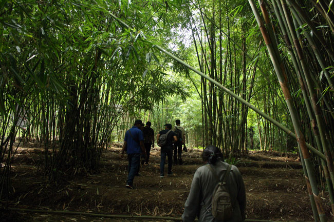 Taman Bambu, Cara Unik Mengemas Bambu Menjadi Wisata Edukasi | Gaya Hidup