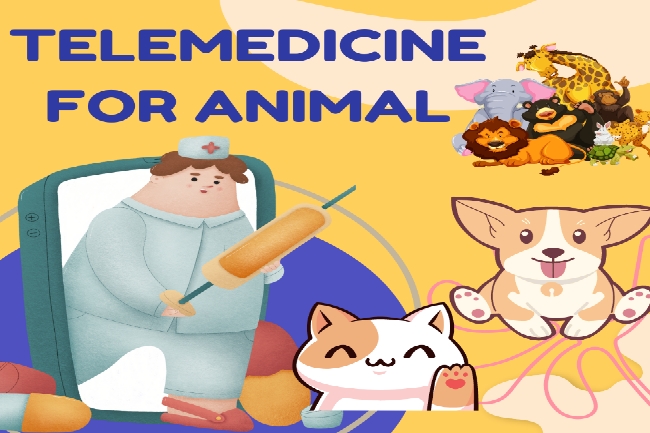 Kini Hadir Telemedicine Untuk Hewan, Bagaimana Cara Kerjanya?