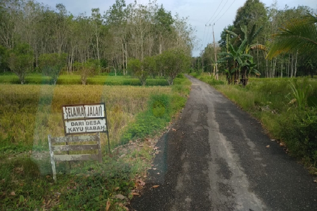 Kacau! Tahun 2022 ini, Masih Ada Desa Sangat Tertinggal di Provinsi Kaya Batubara dan Sawit 