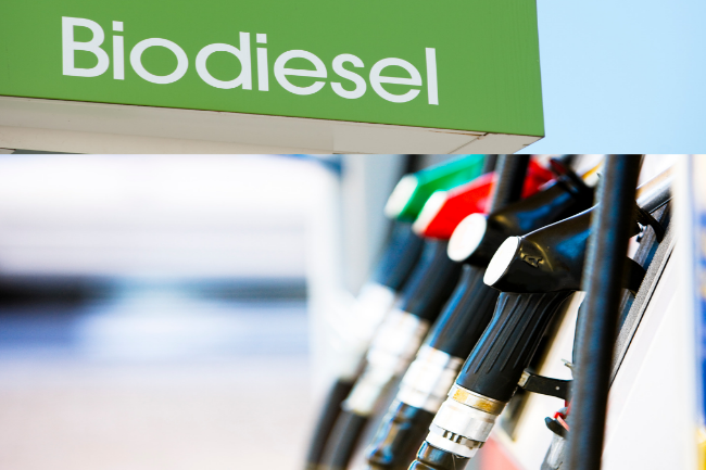 Naik Rp275, Harga Biodiesel jadi Rp12.453/Liter per Mei 2024