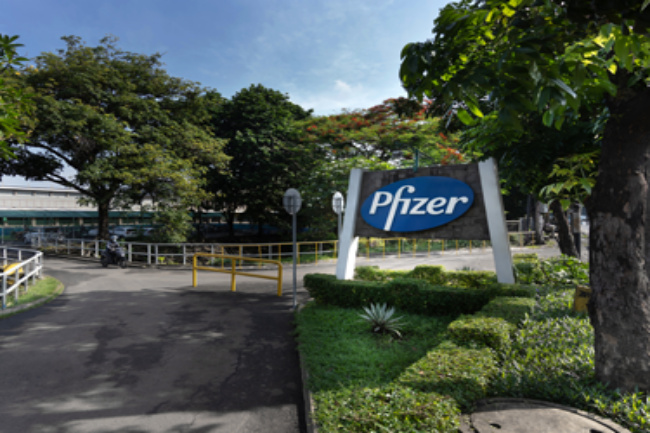 Kabar Baik, BPOM Beri Izin Penggunaan Darurat Obat Covid dari Pfizer di Indonesia