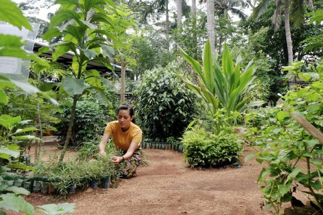 Kolaborasi Kebun Kumara dan Bank DBS Indonesia Solusi Isu Lingkungan yang Kian Meresahkan