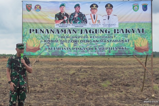 Pola Kemitraan, Prajurit TNI AD Olah 600 Ha Lahan di OKI Menjadi Ladang Jagung