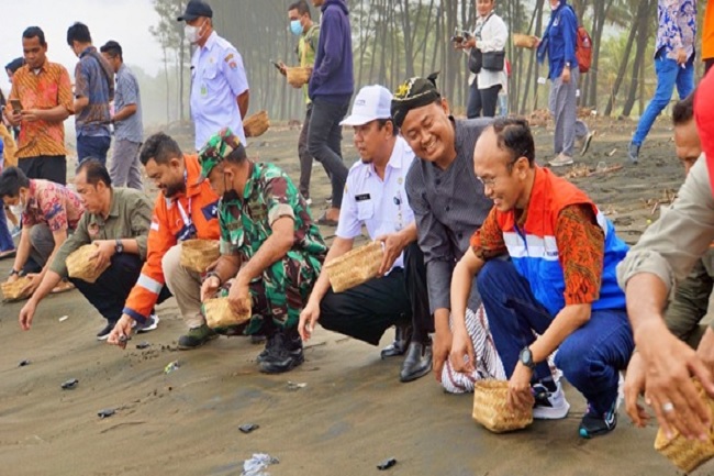 4 Kali Peringati Hari Konservasi Alam Nasional, Pertamina Lepas Liar 813 Ekor Penyu di Pantai Sodong Cilacap