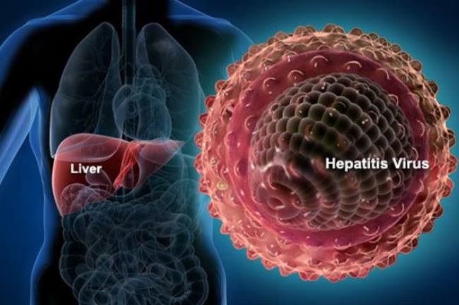 Prevalensi Hepatitis di Indonesia Masih pada Tingkat Menengah sampai Tinggi