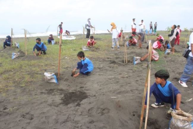 Reboisasi Pantai Bunton, Pemkab Cilacap dan Indonesia Power Libatkan Anak-Anak