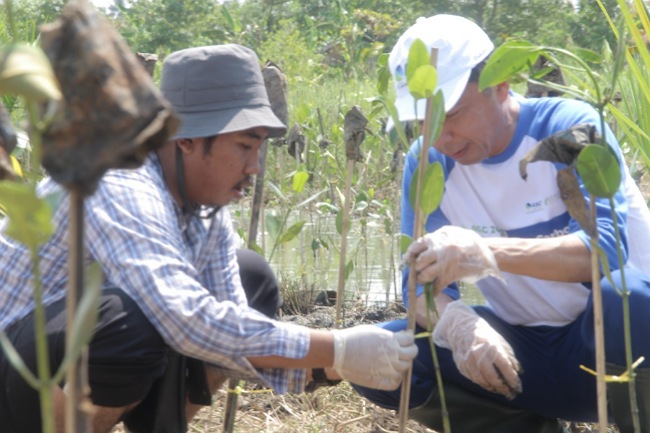 Mitigasi Bencana Iklim, 18.000 Mangrove di Tanam di Kawasan Pandeglang  