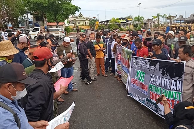  Harga TBS Anjlok, Ratusan Petani Sawit Kotabaru Turun ke Jalan