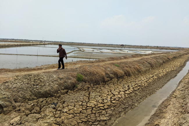 Sedimentasi Sungai di Wilayah Juwana Tak Teratasi, Minta Desa Urunan Biaya Keruk