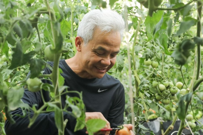 Ganjar Diskusi Soal Ketahanan Pangan Dengan Petani Milenial Di Cianjur ...