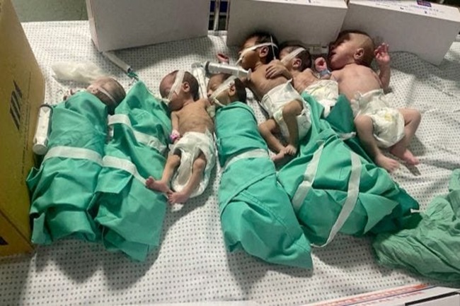Mesir: 28 Bayi Prematur dari Gaza Tiba dengan Selamat, 8 Lainnya Meninggal