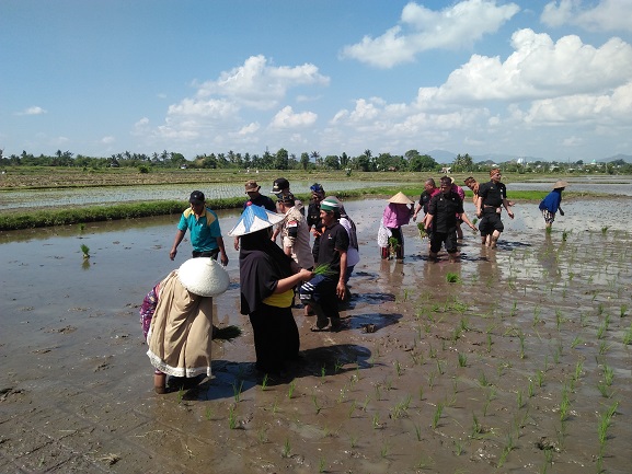 Investasi Perumahan di Kota Mataram Marak, Lahan Pertanian makin Menyusut