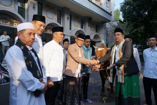 Hery Antasari Serahkan Sapi Kurban Pemkot Bogor