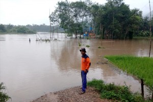 Pulang dari Ladang, Tiga Warga Hanyut Terbawa Banjir