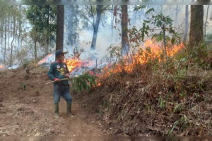 Usaha Spiritual Ikuti Upaya Pemadaman Kebakaran Hutan Lindung Gunung Lawu
