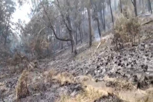 Kebakaran Lawu Lelehkan Jaringan Pipa, Suplai Air ke Ratusan Jiwa di Desa Anggrasmanis Terputus