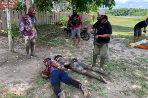 Lagi! Aparat Tangkap Penyelundup Senjata di Papua  