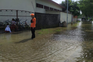 Akses Jalan dan Sawah Terendam Banjir di Pati
