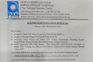 DPP Beri Sinyal Kader Demokrat Maju Cagub, PAN Riau: Rekomnya Ada Dua
